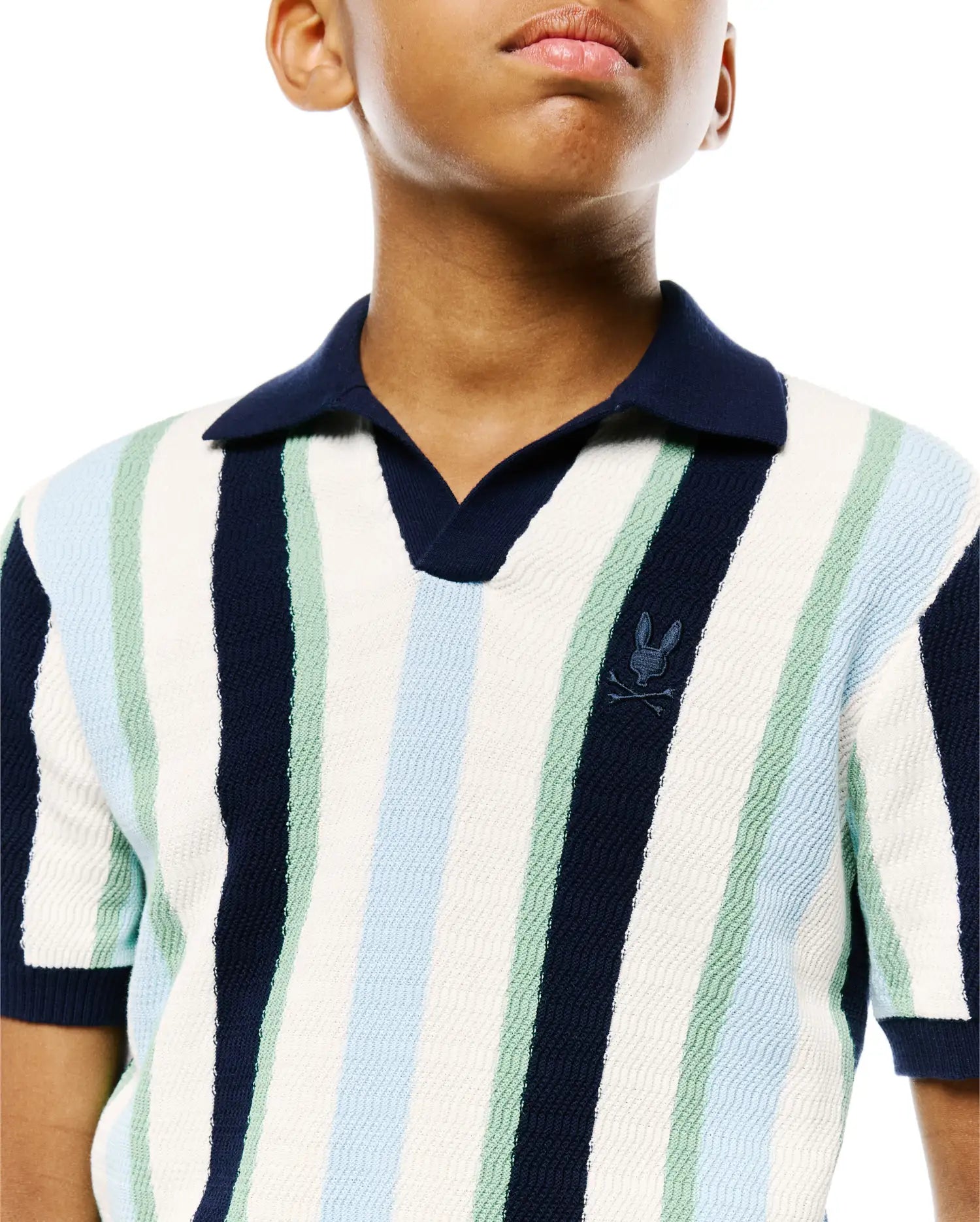 Psycho Bunny Kids Polo Shirts Wren Stripe Knit Polo polo 423 blu 100% cotone