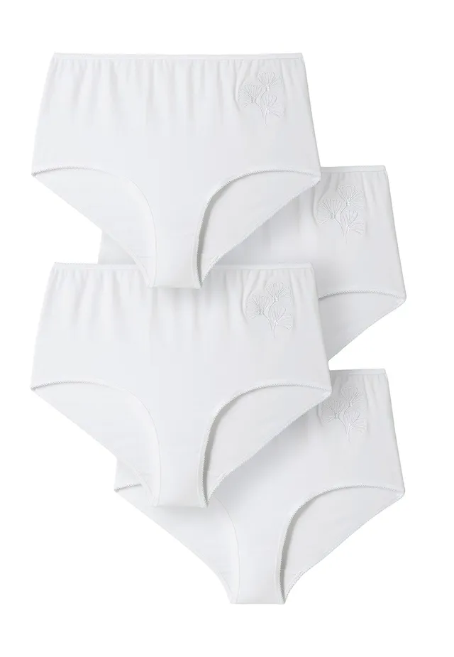 Damart Biancheria intima Set 4 mutandine maxi ricamate in cotone