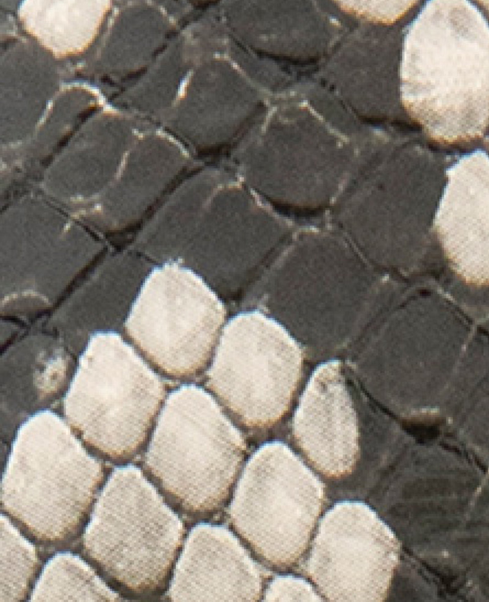 Kenneth Cole Reaction Shoes Romi Snake Print Hardware Ankle Slingback Heel slingback nero bianco stampa pitone